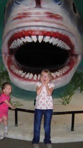 Stress?!  What stress?!