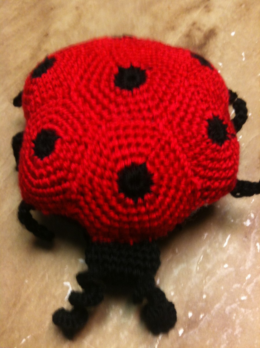 Li'l Ladybug