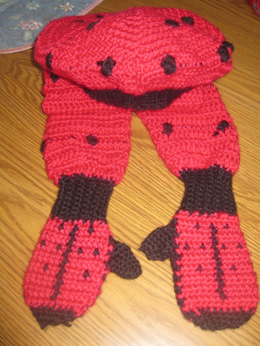 Ladybug Winter Set